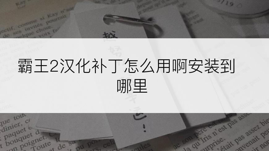 霸王2汉化补丁怎么用啊安装到哪里