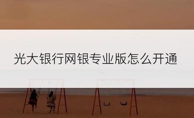 光大银行网银专业版怎么开通