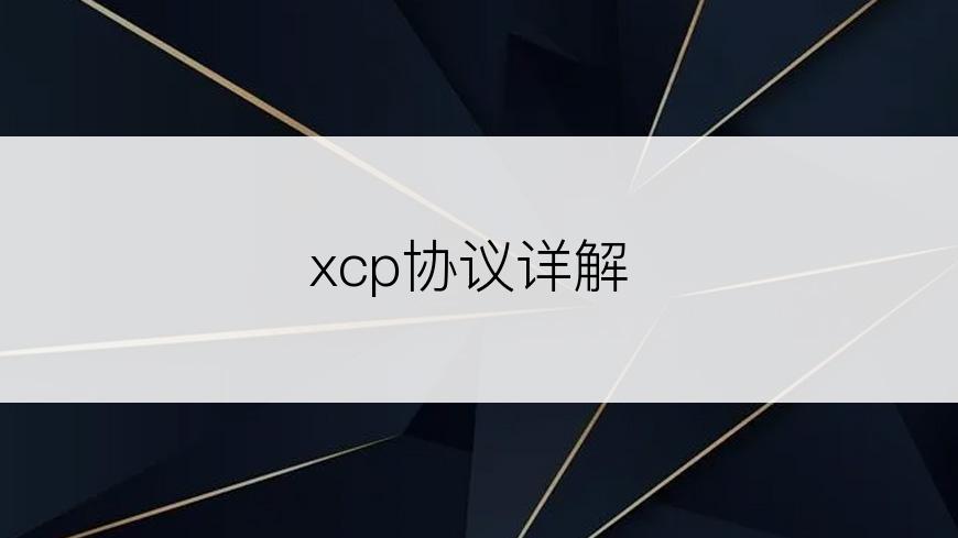 xcp协议详解