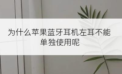 为什么苹果蓝牙耳机左耳不能单独使用呢