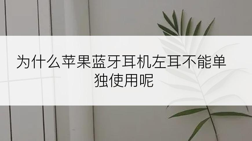 为什么苹果蓝牙耳机左耳不能单独使用呢