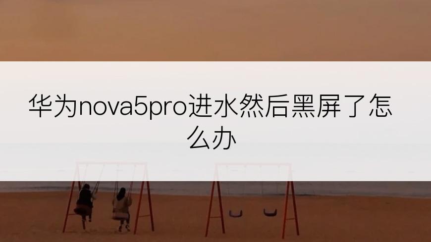 华为nova5pro进水然后黑屏了怎么办