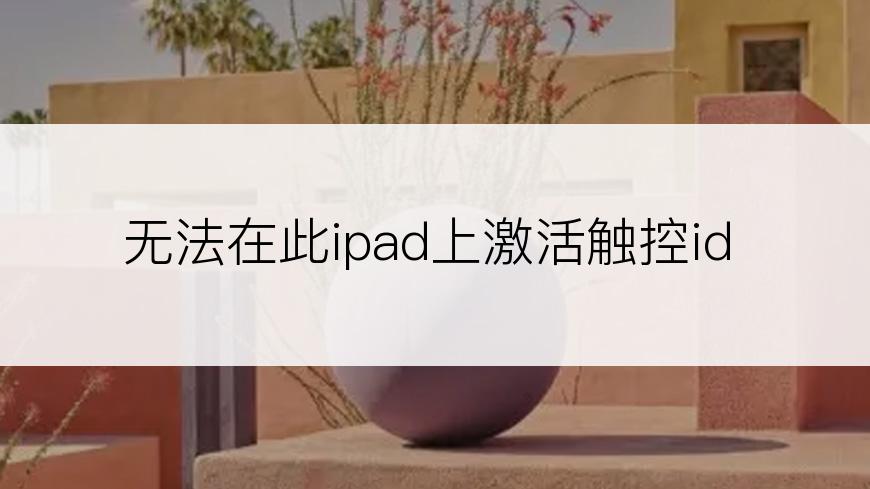 无法在此ipad上激活触控id