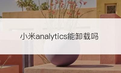 小米analytics能卸载吗