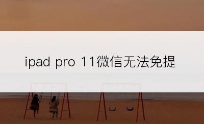 ipad pro 11微信无法免提