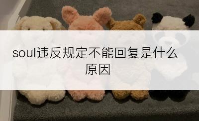 soul违反规定不能回复是什么原因