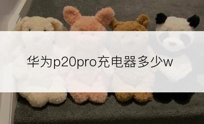 华为p20pro充电器多少w