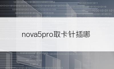 nova5pro取卡针插哪