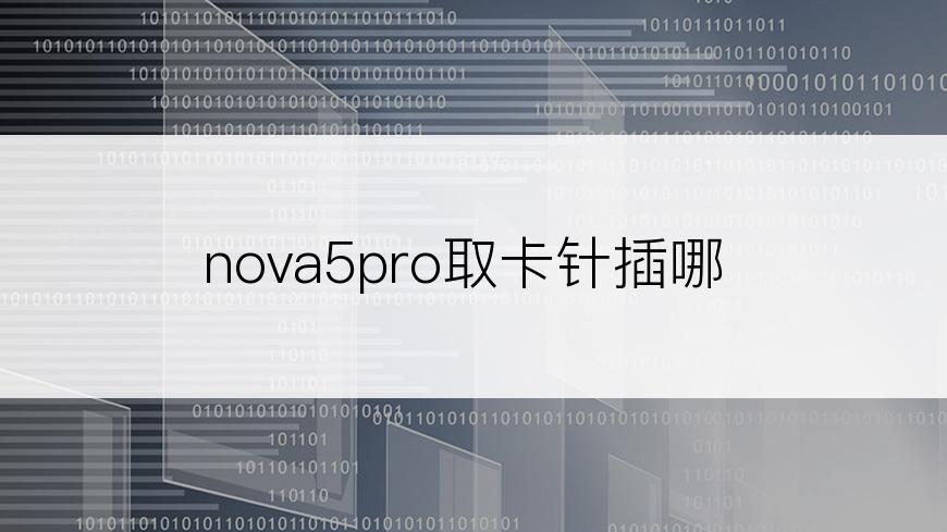 nova5pro取卡针插哪