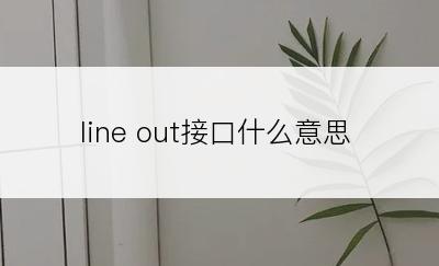 line out接口什么意思