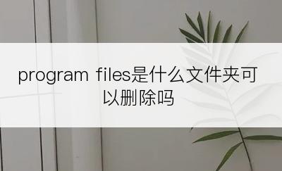 program files是什么文件夹可以删除吗