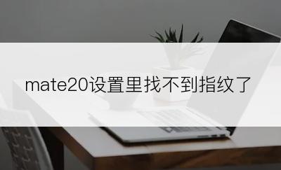 mate20设置里找不到指纹了