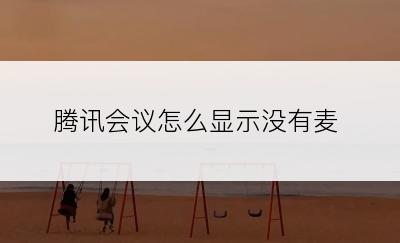 腾讯会议怎么显示没有麦