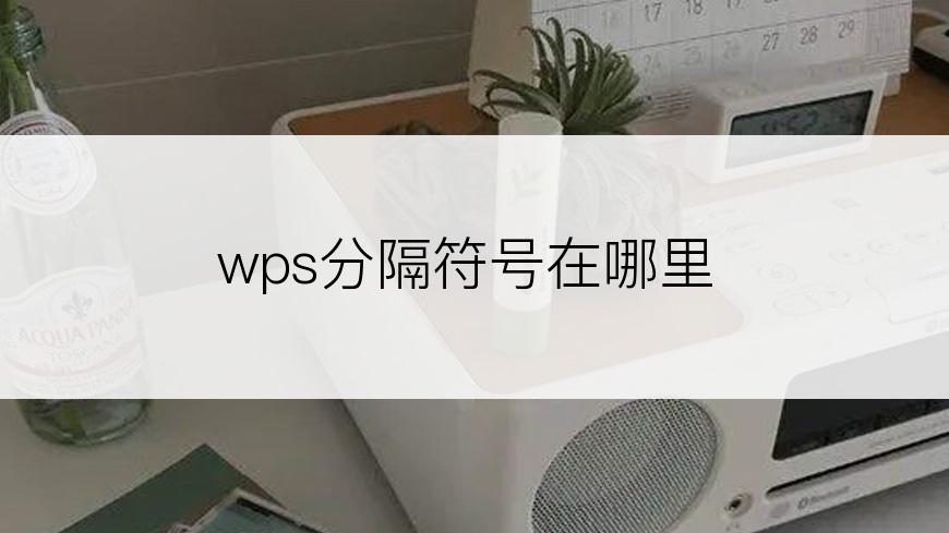 wps分隔符号在哪里