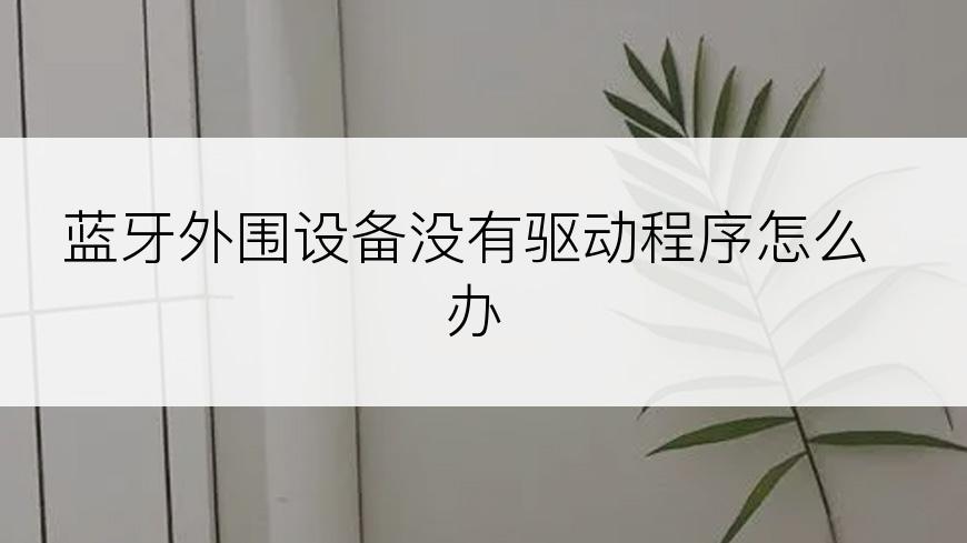 蓝牙外围设备没有驱动程序怎么办