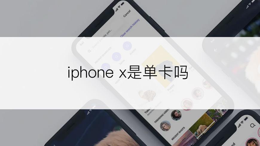 iphone x是单卡吗