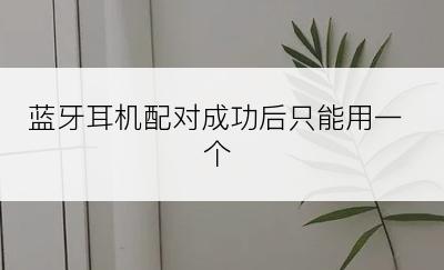 蓝牙耳机配对成功后只能用一个