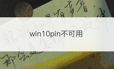 win10pin不可用