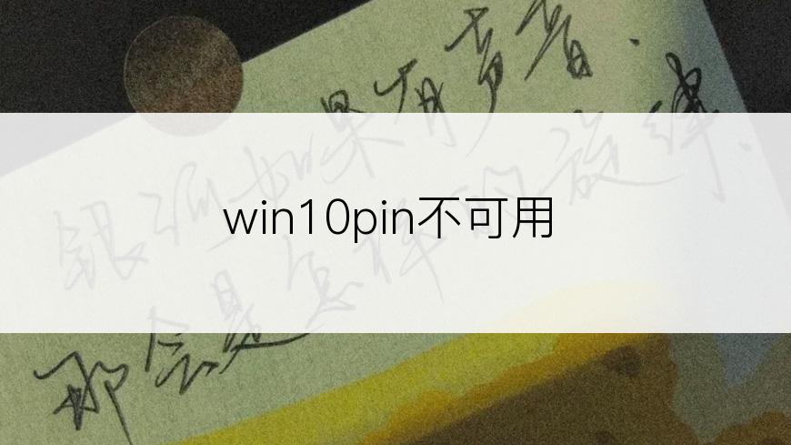 win10pin不可用