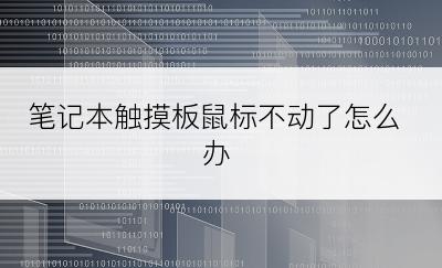 笔记本触摸板鼠标不动了怎么办