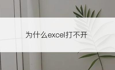 为什么excel打不开