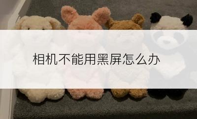 相机不能用黑屏怎么办