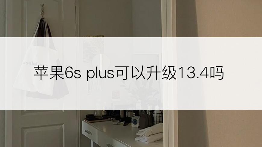 苹果6s plus可以升级13.4吗