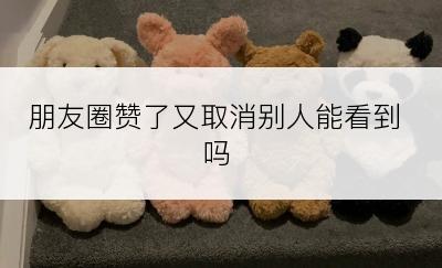 朋友圈赞了又取消别人能看到吗