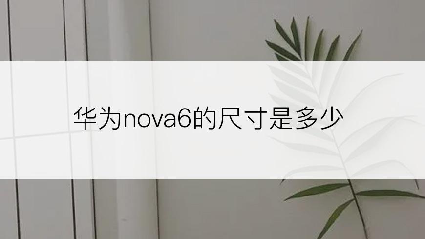 华为nova6的尺寸是多少