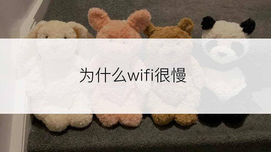 为什么wifi很慢