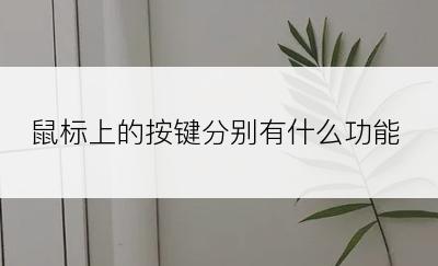 鼠标上的按键分别有什么功能