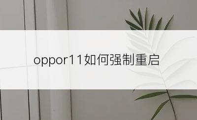 oppor11如何强制重启