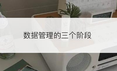 数据管理的三个阶段