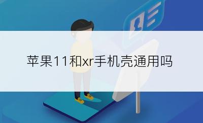 苹果11和xr手机壳通用吗