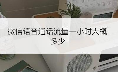 微信语音通话流量一小时大概多少