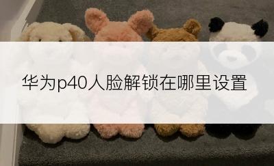 华为p40人脸解锁在哪里设置