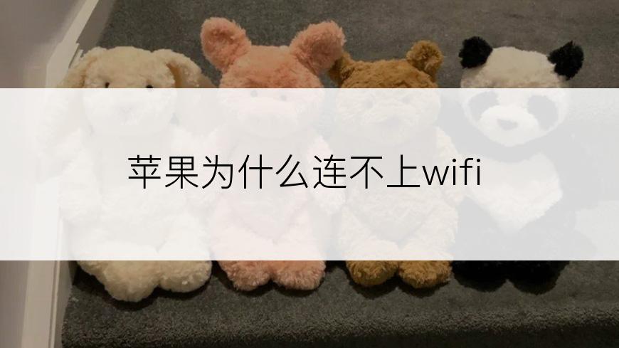 苹果为什么连不上wifi