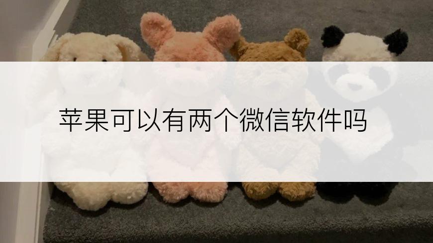 苹果可以有两个微信软件吗