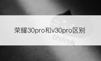 荣耀30pro和v30pro区别