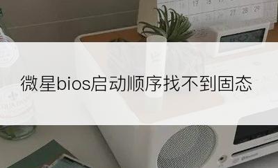 微星bios启动顺序找不到固态