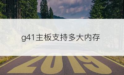 g41主板支持多大内存