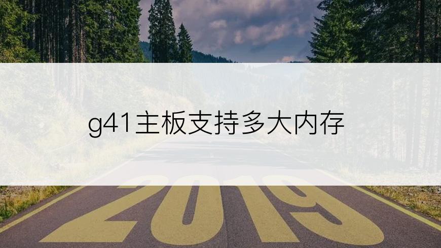 g41主板支持多大内存