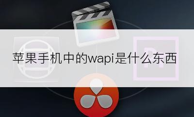 苹果手机中的wapi是什么东西