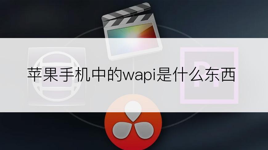 苹果手机中的wapi是什么东西