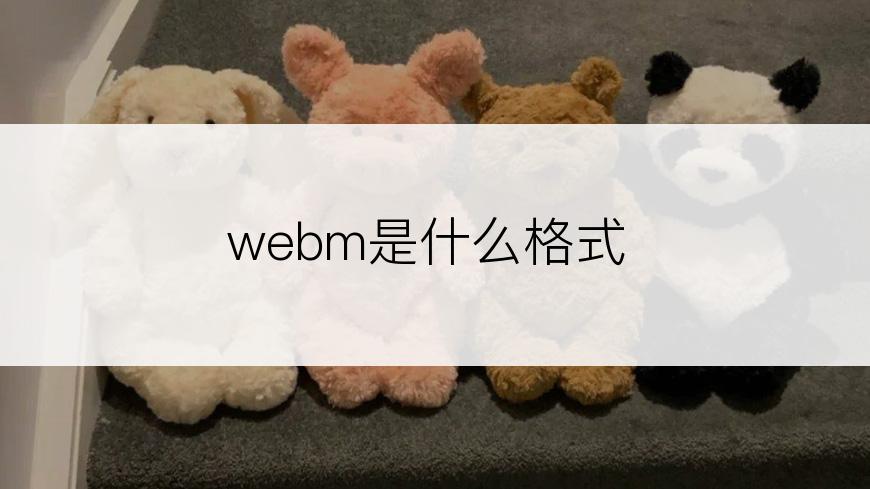 webm是什么格式