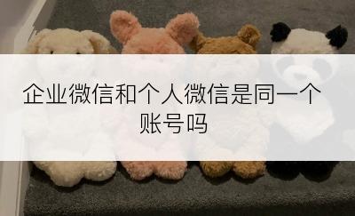 企业微信和个人微信是同一个账号吗