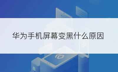 华为手机屏幕变黑什么原因