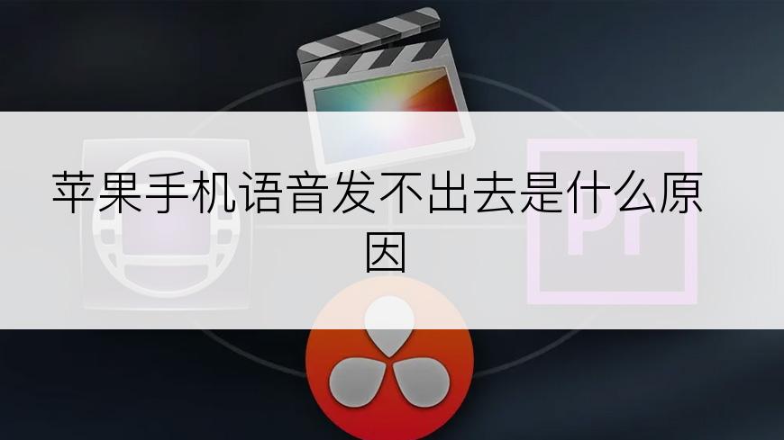 苹果手机语音发不出去是什么原因