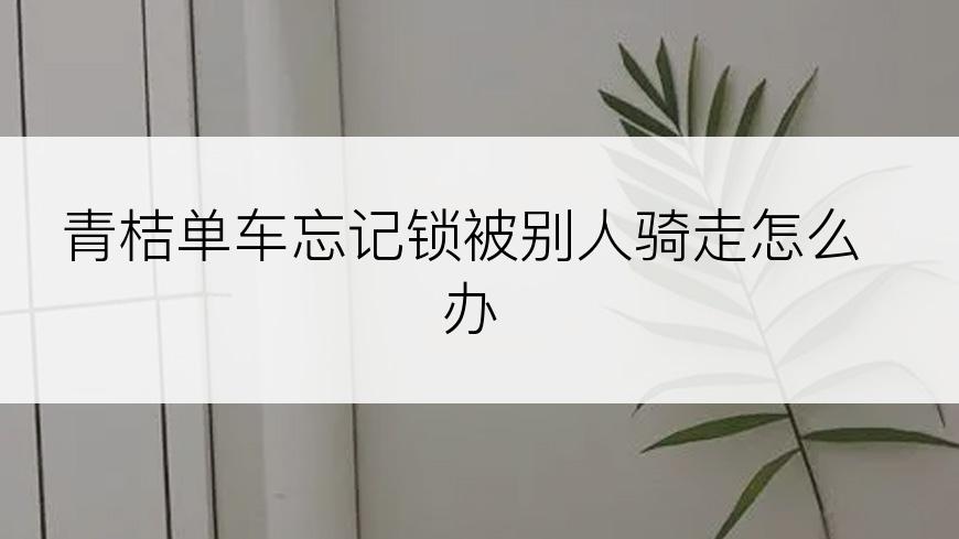 青桔单车忘记锁被别人骑走怎么办