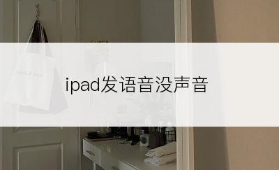 ipad发语音没声音